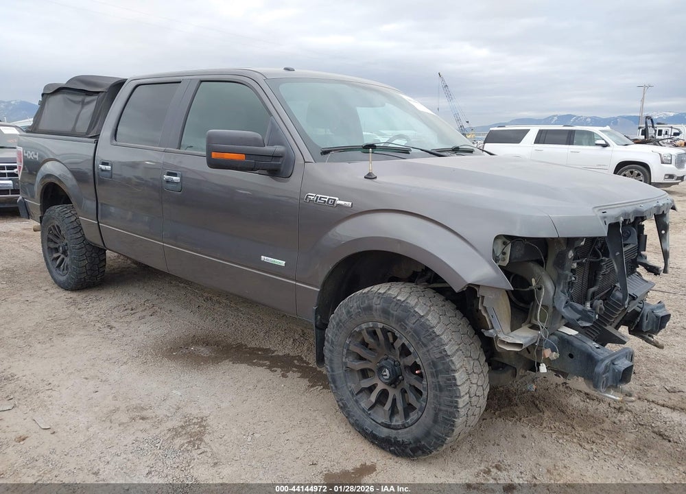 2013 FORD F-150 XLT VIN: 1FTFW1ET5DKD65284