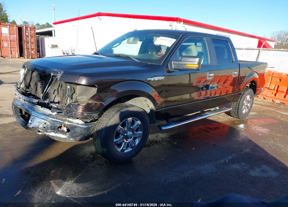 2013 FORD F-150 XLT VIN: 1FTFW1EF8DKD86821