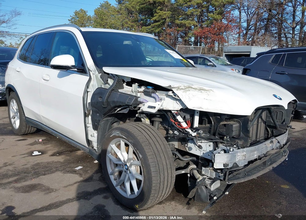 2019 BMW X5 XDRIVE40I VIN: 5UXCR6C57KLL04018