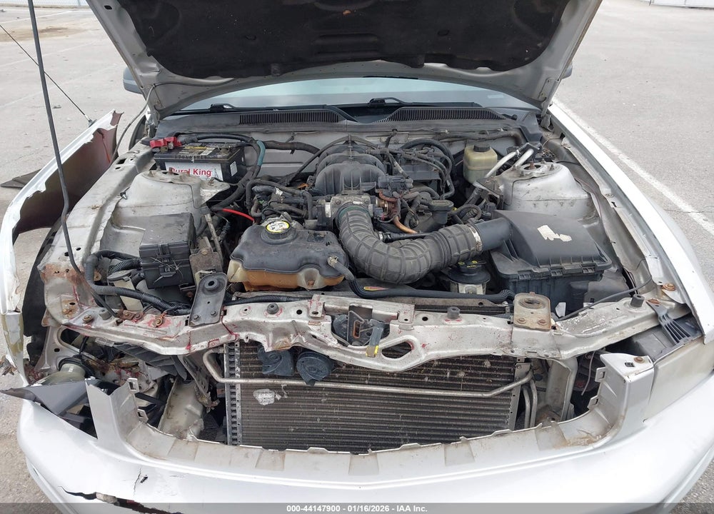 2005 FORD MUSTANG V6 DELUXE/V6 PREMIUM VIN: 1ZVFT80N355253252