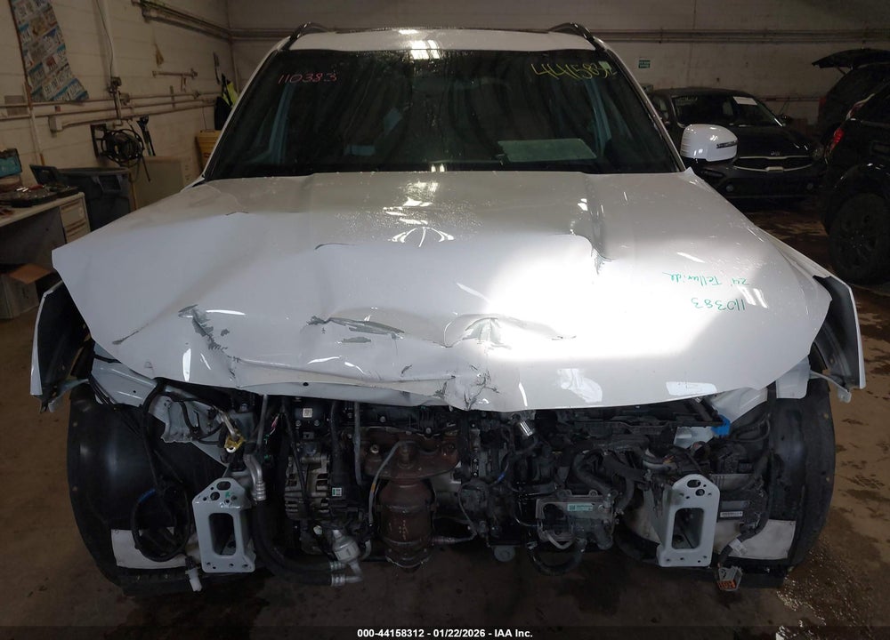 2024 KIA TELLURIDE SX X-LINE VIN: 5XYP5DGC4RG504405