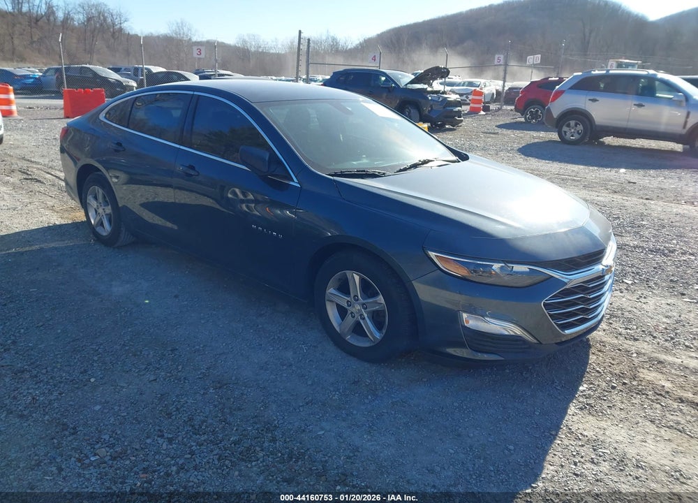 2019 CHEVROLET MALIBU VIN: 1G1ZB5STXKF117910