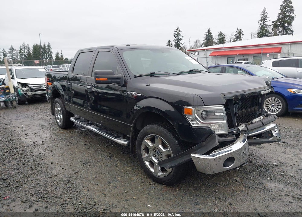 2014 FORD F-150 XLT VIN: 1FTFW1EF1EKD87665