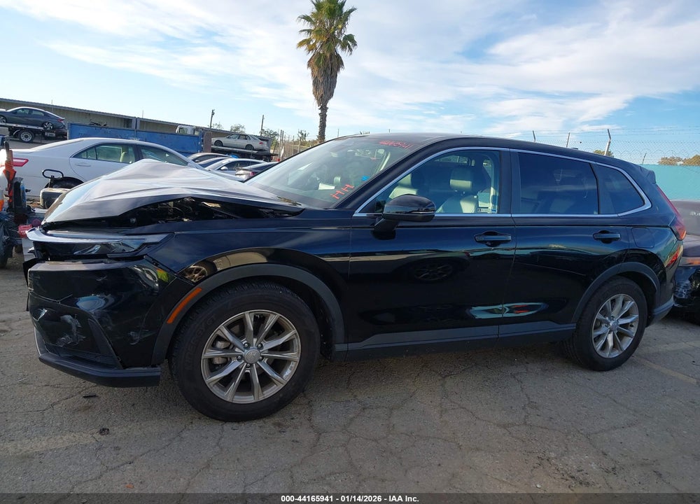 2024 HONDA CR-V EX-L 2WD VIN: 2HKRS3H70RH315692