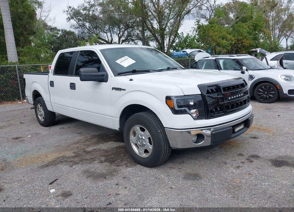 2013 FORD F-150 XLT VIN: 1FTFW1CF6DFB38384
