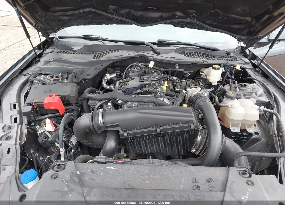2024 FORD MUSTANG ECOBOOST FASTBACK VIN: 1FA6P8TH1R5118151