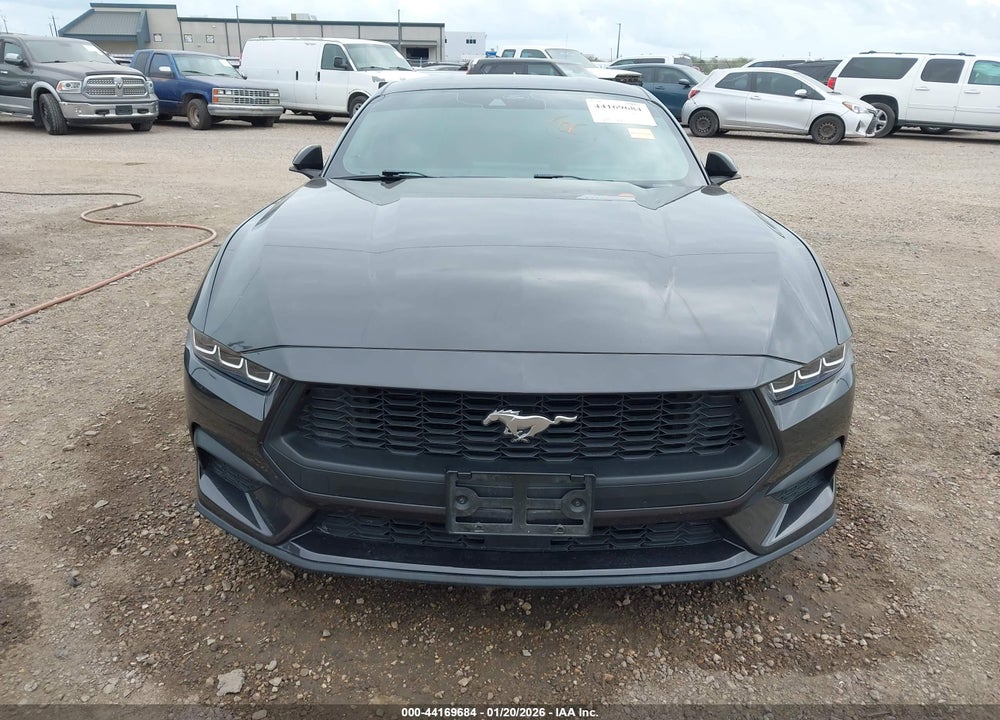 2024 FORD MUSTANG ECOBOOST FASTBACK VIN: 1FA6P8TH1R5118151