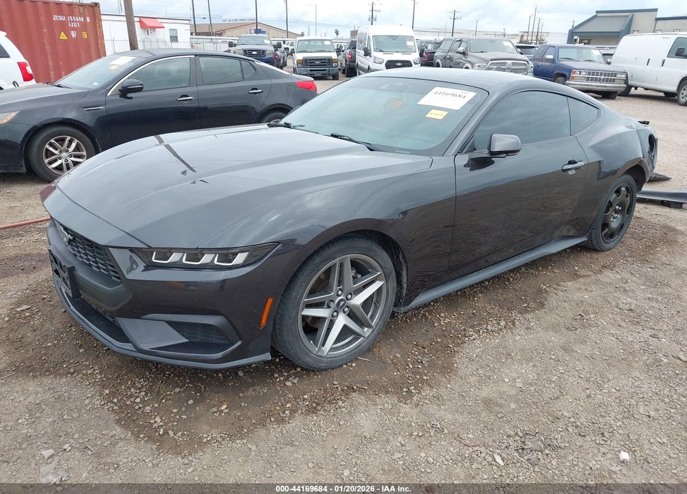 2024 FORD MUSTANG ECOBOOST FASTBACK VIN: 1FA6P8TH1R5118151