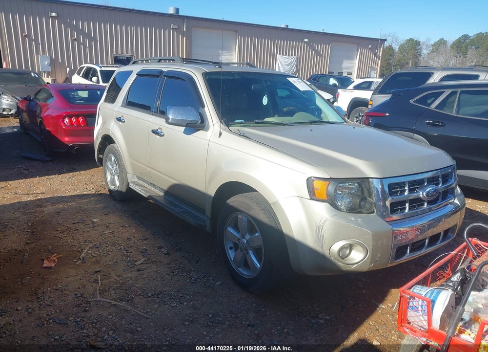 2011 FORD ESCAPE XLT VIN: 1FMCU0D78BKB64916