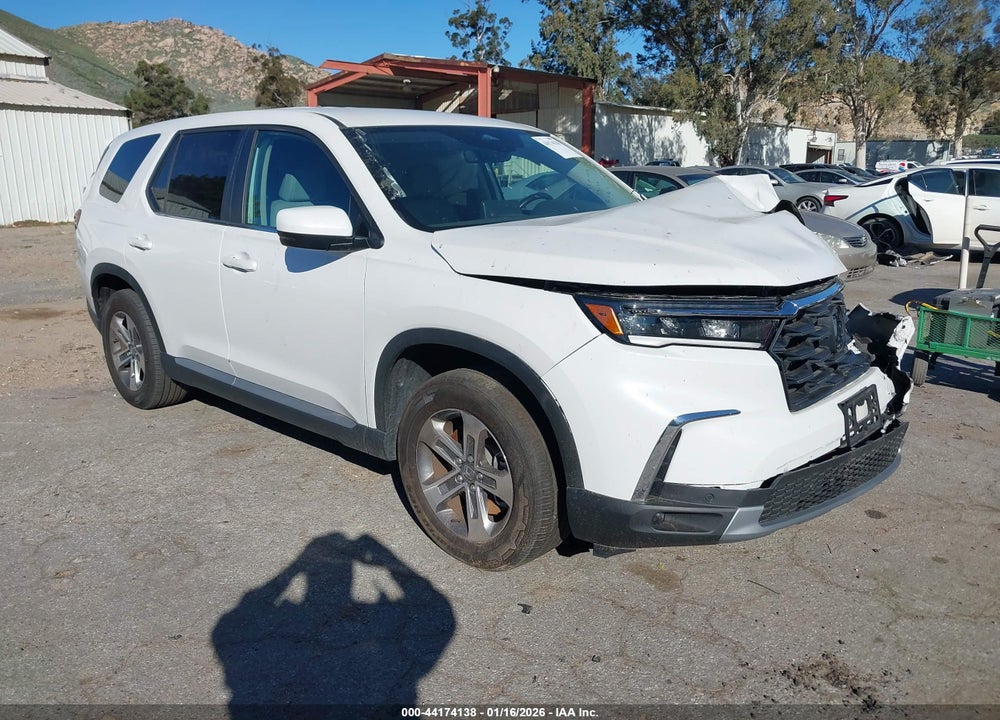 2024 HONDA PILOT EX-L 7 PASSENGER VIN: 5FNYG2H57RB016785