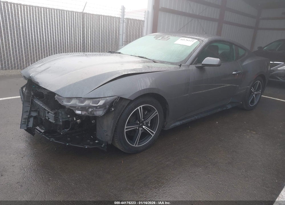 2024 FORD MUSTANG ECOBOOST FASTBACK VIN: 1FA6P8TH4R5107693