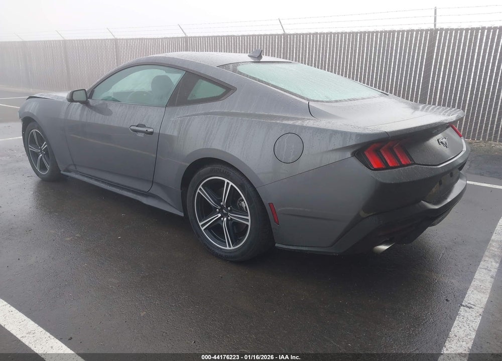 2024 FORD MUSTANG ECOBOOST FASTBACK VIN: 1FA6P8TH4R5107693