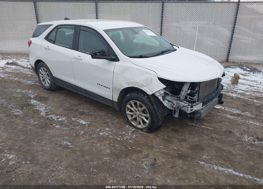 2019 CHEVROLET EQUINOX LS VIN: 3GNAXSEV8KL103521