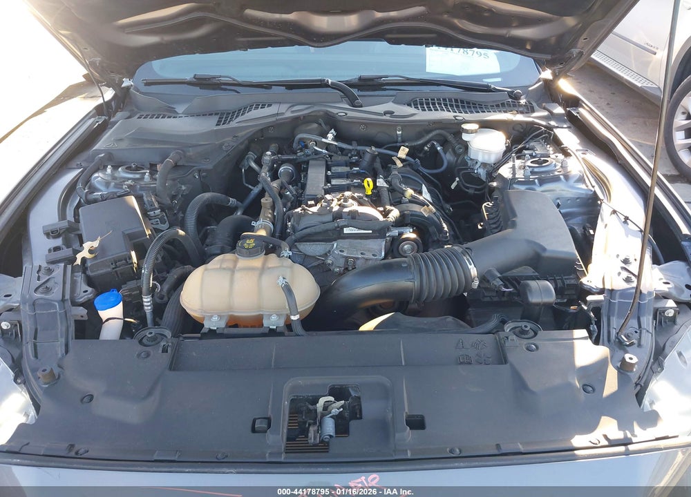 2021 FORD MUSTANG ECOBOOST FASTBACK VIN: 1FA6P8TH0M5133393