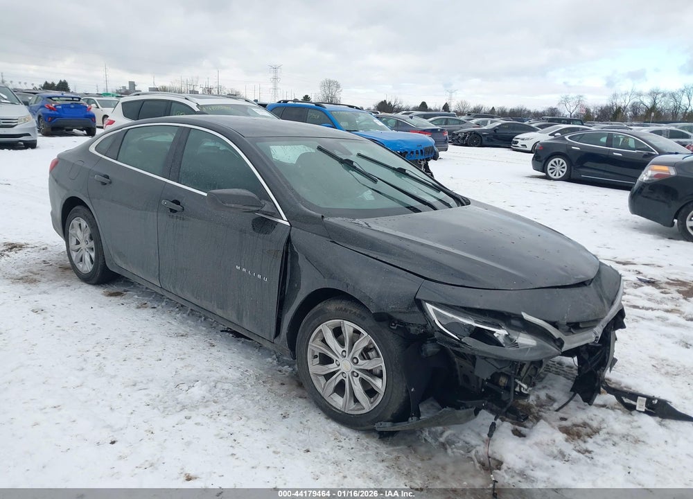 2023 CHEVROLET MALIBU FWD 1LT VIN: 1G1ZD5ST3PF246248