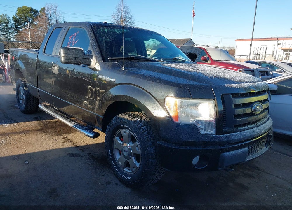 2010 FORD F-150 STX/XL/XLT VIN: 1FTEX1E86AFD83821