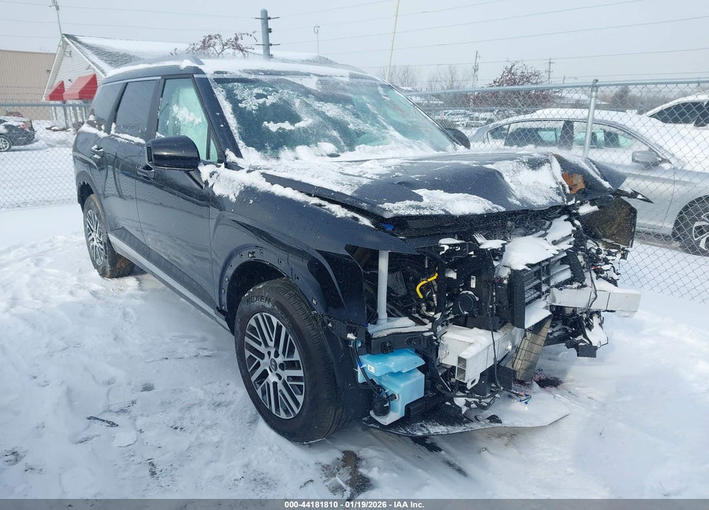 2026 HYUNDAI PALISADE SEL VIN: KM8RGES23TU044176