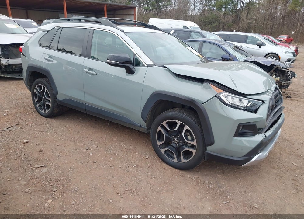 2019 TOYOTA RAV4 ADVENTURE VIN: 2T3J1RFV4KW060242