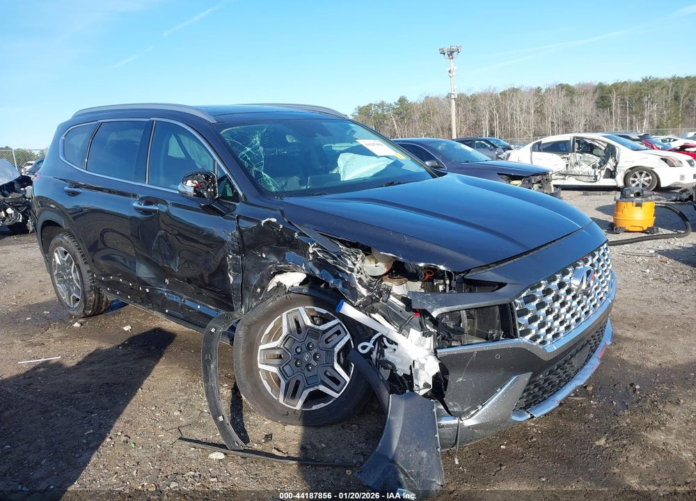 2023 HYUNDAI SANTA FE LIMITED VIN: 5NMS4DAL5PH539916