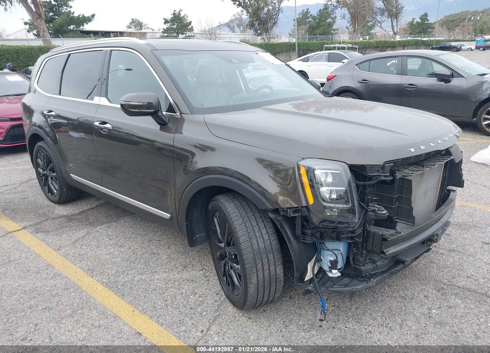 2020 KIA TELLURIDE SX VIN: 5XYP5DHC5LG084644