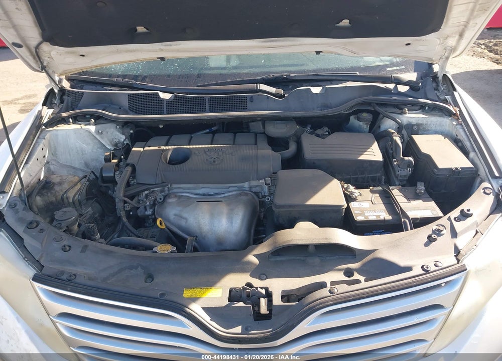 2010 TOYOTA VENZA VIN: 4T3ZA3BB5AU023338