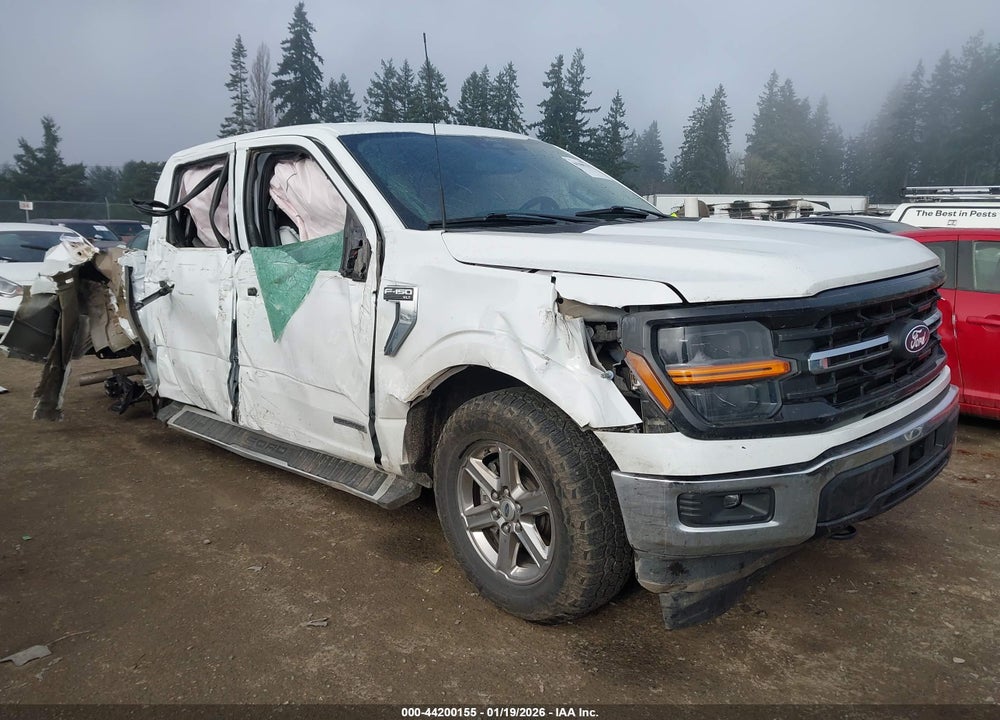 2024 FORD F-150 XLT VIN: 1FTFW3LD6RFA41915
