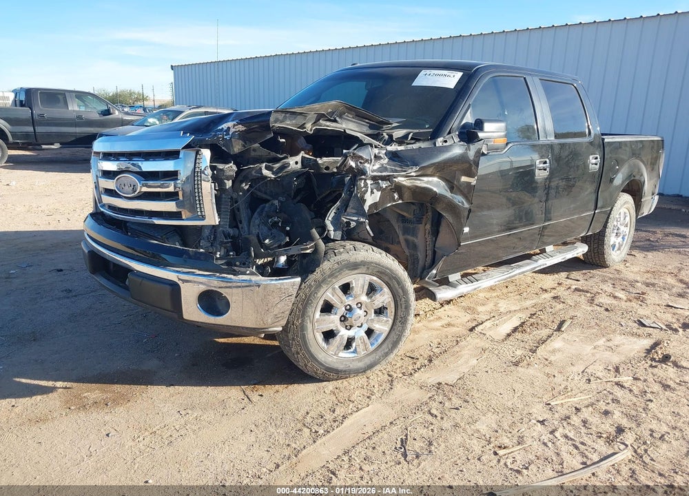 2012 FORD F-150 XLT VIN: 1FTFW1CT1CKD94217
