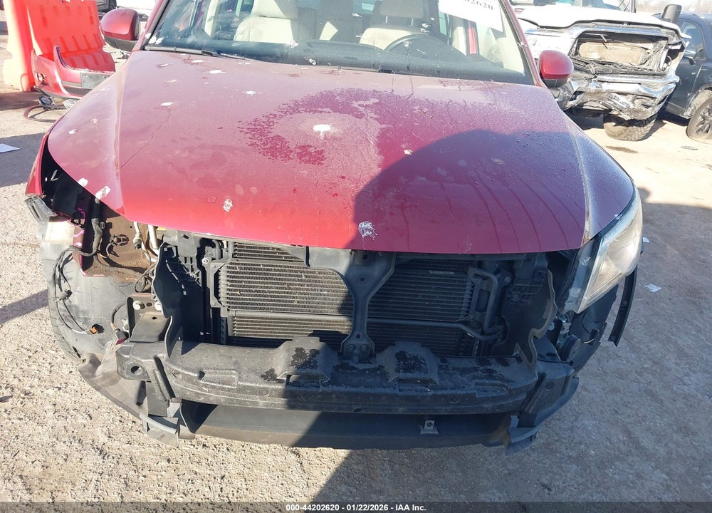 2011 VOLKSWAGEN TIGUAN SEL VIN: WVGAV7AX8BW001693