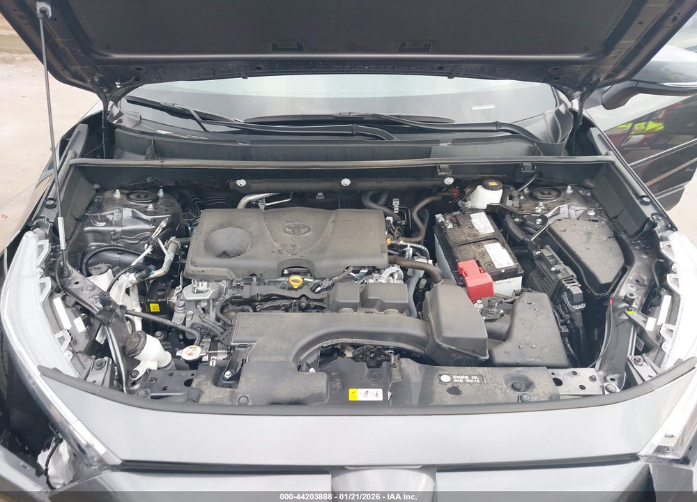 2025 TOYOTA RAV4 XLE VIN: 2T3W1RFVXSC332056