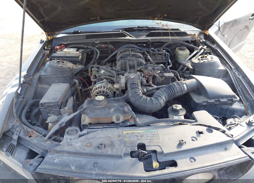 2005 FORD MUSTANG V6 DELUXE/V6 PREMIUM VIN: 1ZVFT80NX55250493