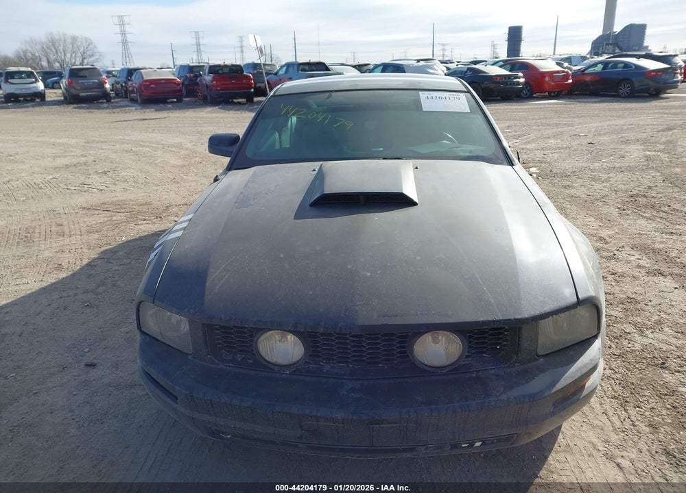 2005 FORD MUSTANG V6 DELUXE/V6 PREMIUM VIN: 1ZVFT80NX55250493