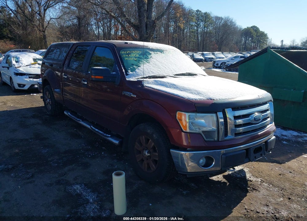 2009 FORD F-150 FX4/XLT VIN: 1FTPW04V39KC69811