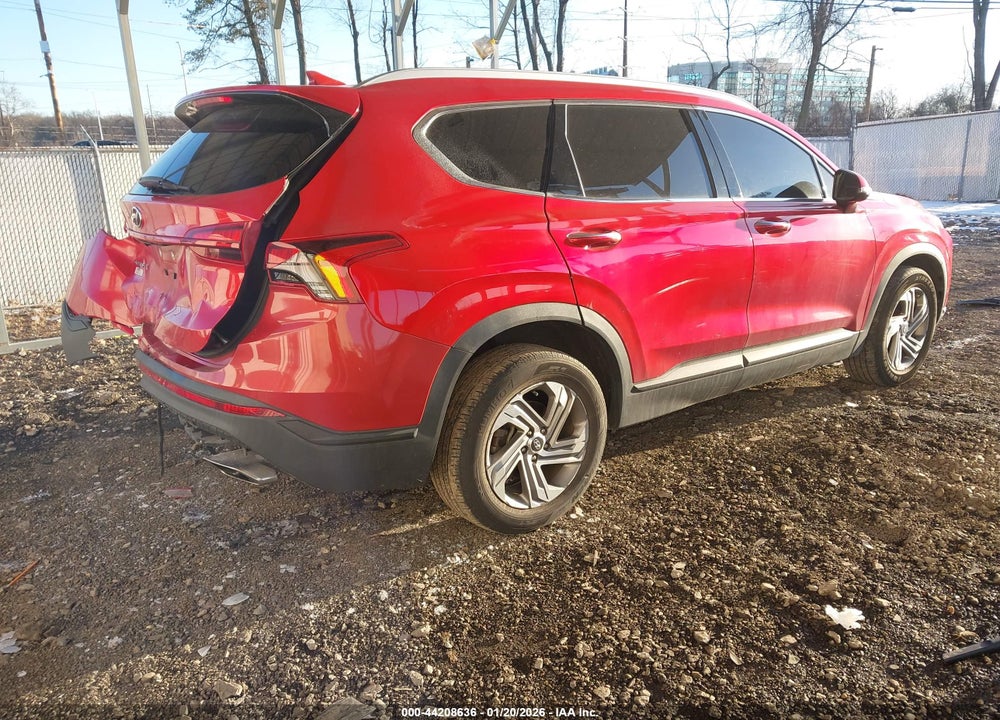 2023 HYUNDAI SANTA FE SEL VIN: 5NMS24AJ6PH569608