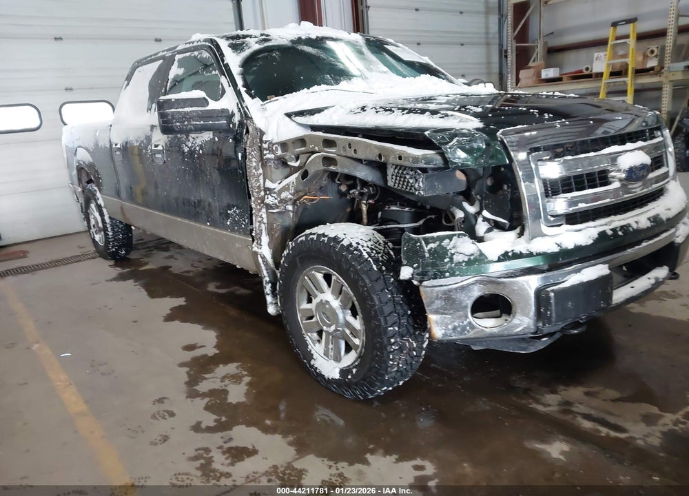 2013 FORD F-150 XLT VIN: 1FTFW1EF1DFA07313