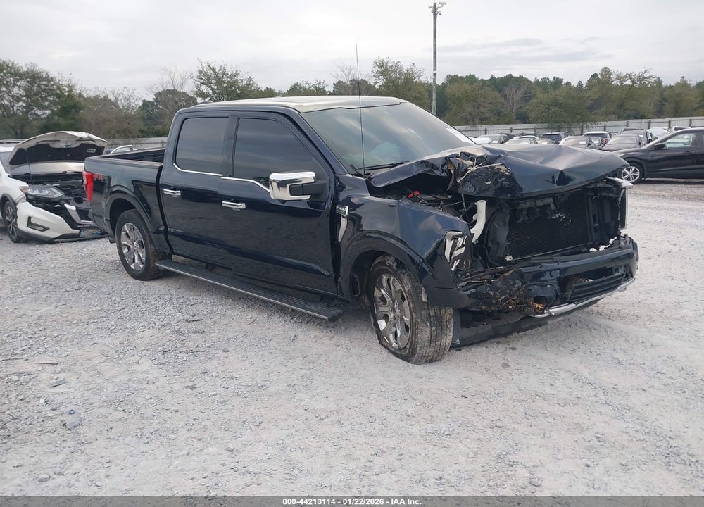 2021 FORD F-150 PLATINUM VIN: 1FTFW1E54MFA74253