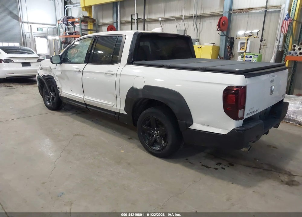 2021 HONDA RIDGELINE VIN: 5FPYK3F15MB008771