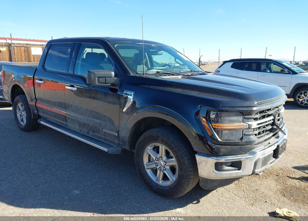 2024 FORD F-150 XLT VIN: 1FTFW3LD6RFA25195