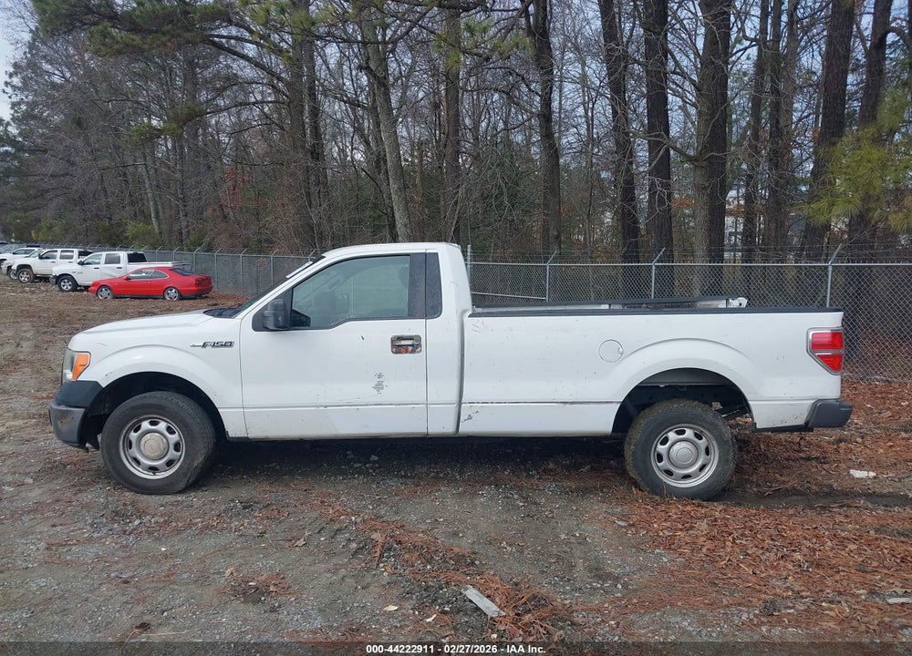 2011 FORD F-150 XL VIN: 1FTMF1CMXBKD07459
