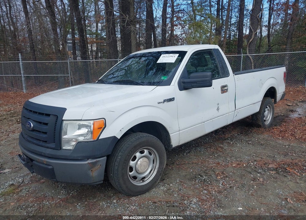 2011 FORD F-150 XL VIN: 1FTMF1CMXBKD07459