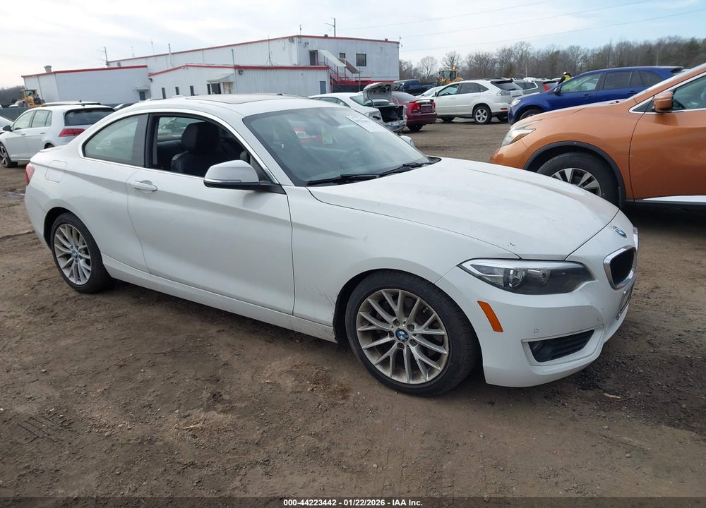 2015 BMW 228I VIN: WBA1F5C56FV257390