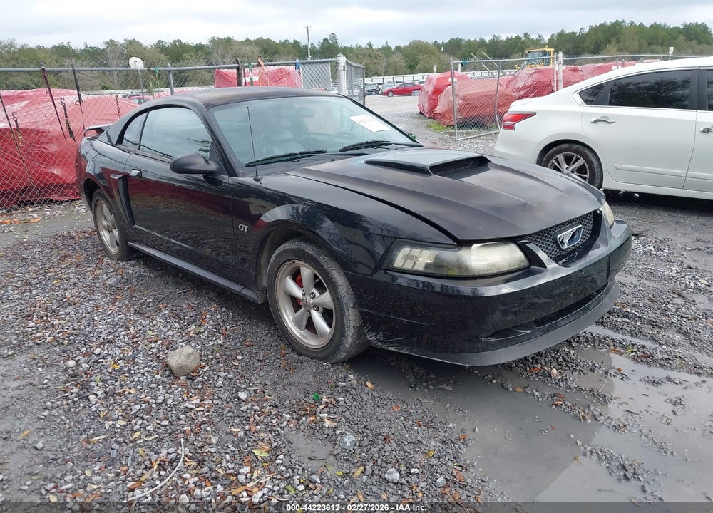 2002 FORD MUSTANG GT VIN: 1FAFP42X82F199781