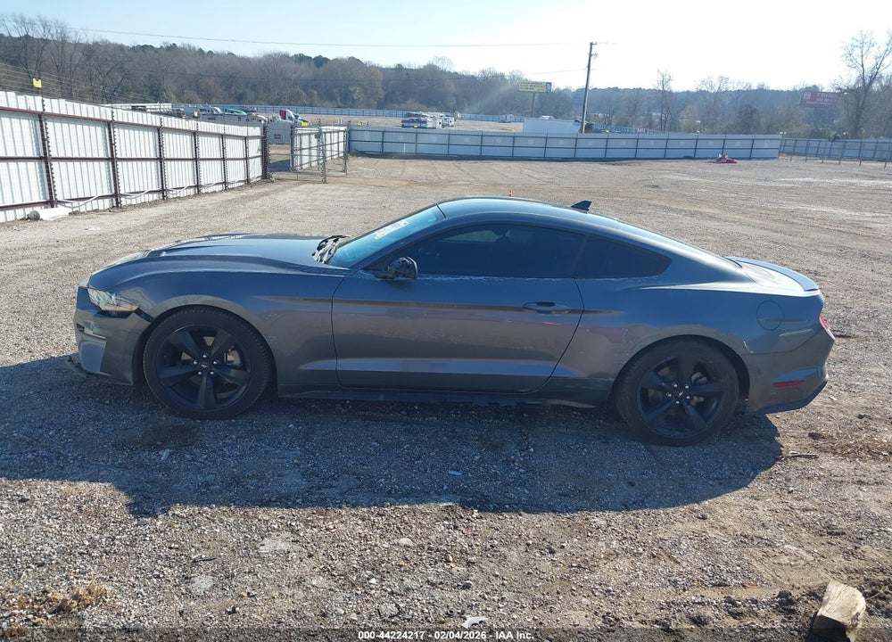 2021 FORD MUSTANG ECOBOOST FASTBACK VIN: 1FA6P8TH1M5102623