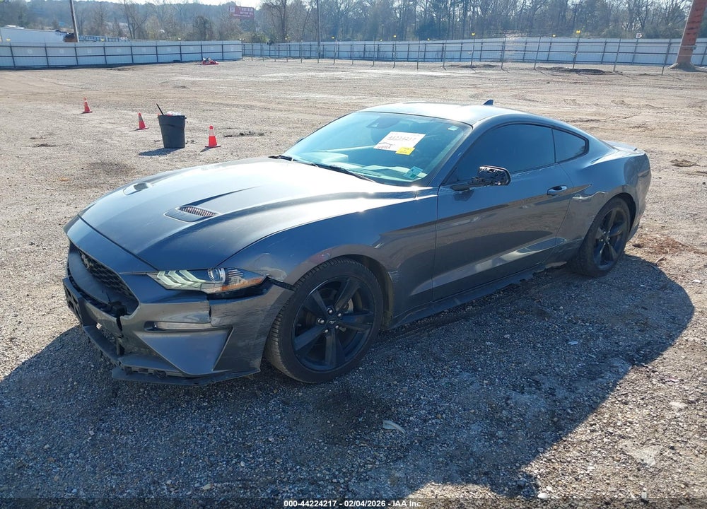2021 FORD MUSTANG ECOBOOST FASTBACK VIN: 1FA6P8TH1M5102623