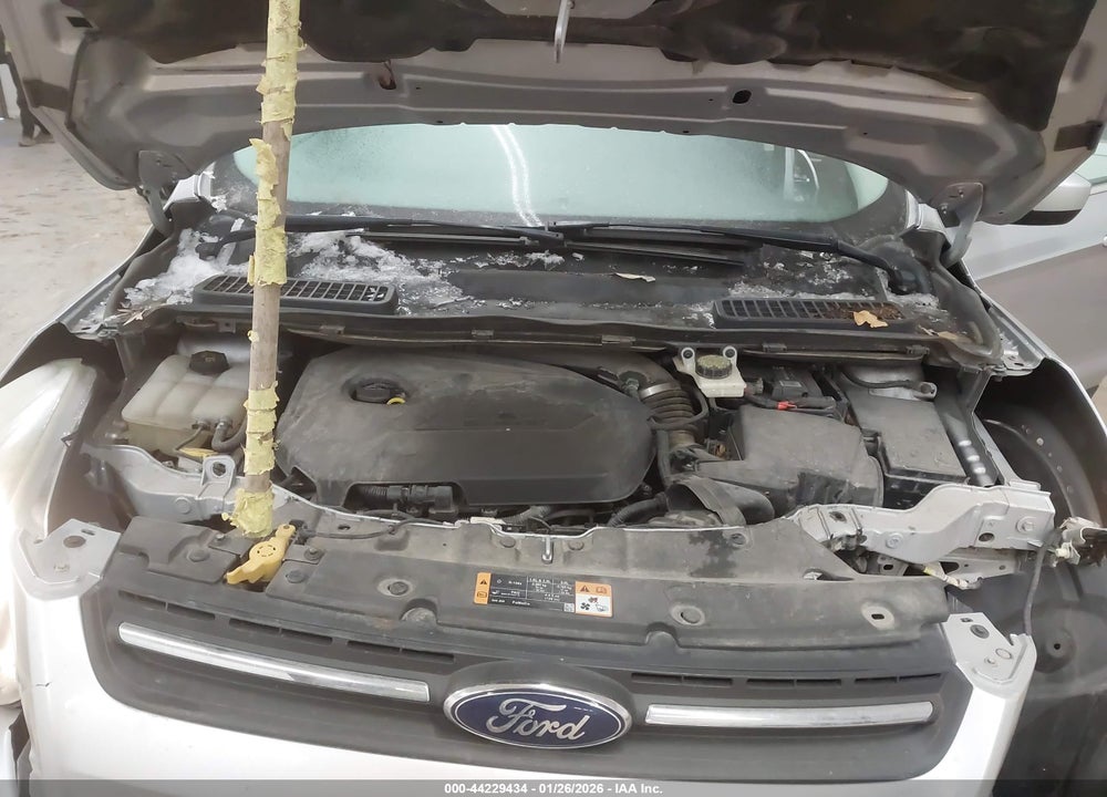 2014 FORD ESCAPE SE VIN: 1FMCU9GX8EUA70351