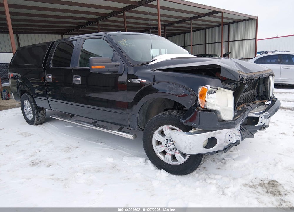 2012 FORD F-150 XLT VIN: 1FTFW1EF9CFA77236