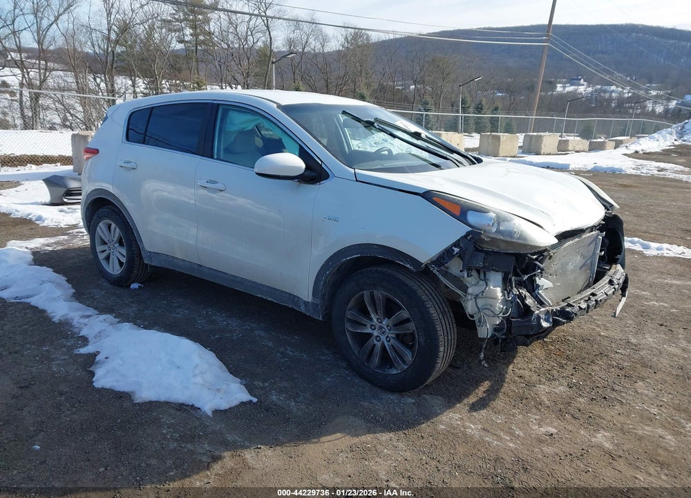 2017 KIA SPORTAGE LX VIN: KNDPMCAC4H7246596