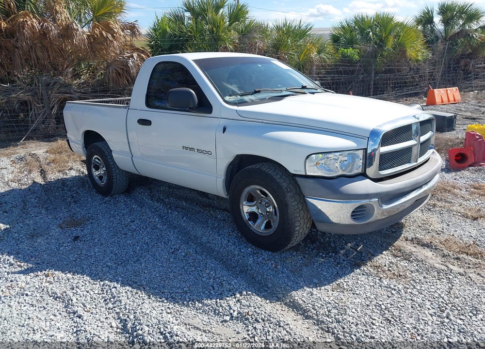 2002 DODGE RAM 1500 ST VIN: 1D7HA16K52J209641