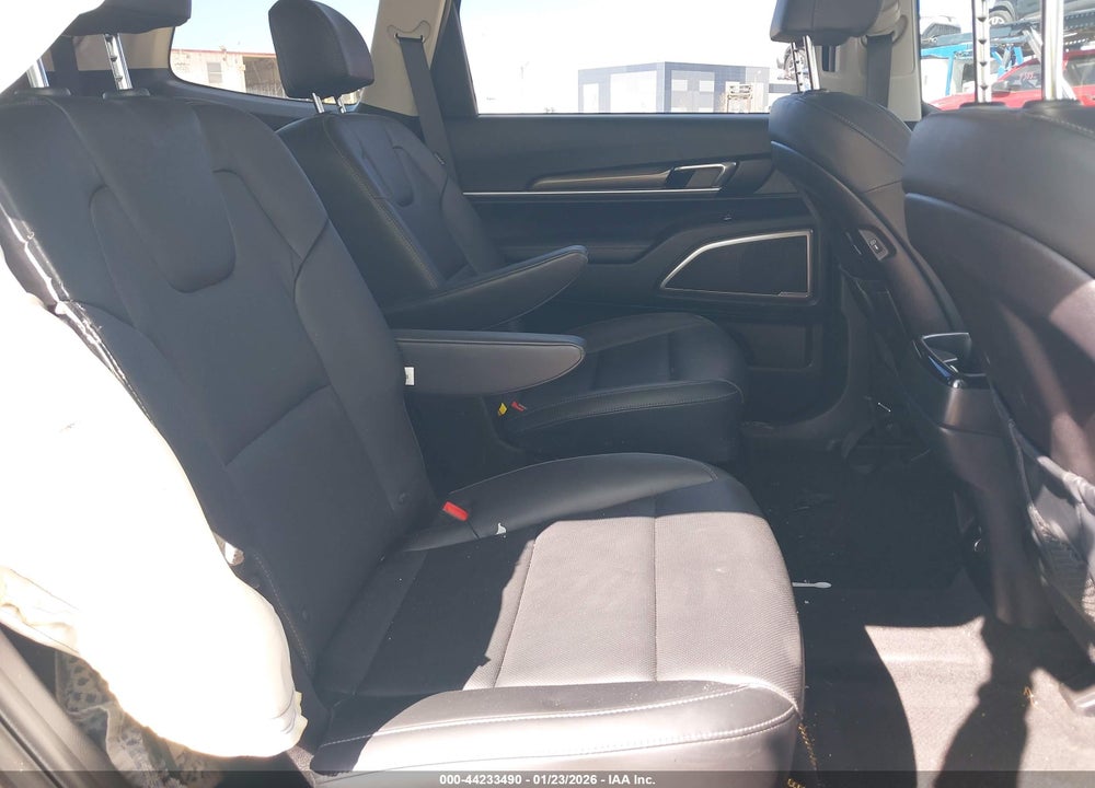 2025 KIA TELLURIDE S VIN: 5XYP64GCXSG577717