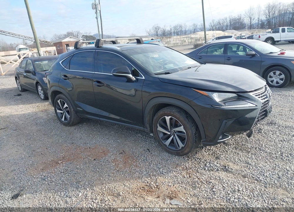 2019 LEXUS NX 300H VIN: JTJBJRBZXK2100956