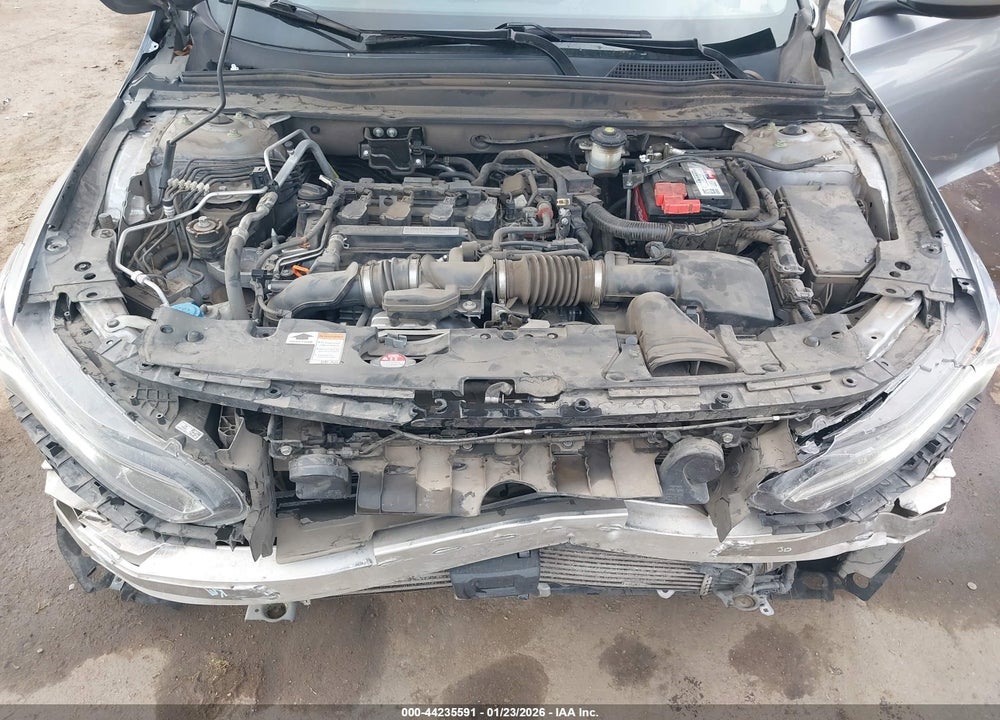 2019 HONDA ACCORD LX VIN: 1HGCV1F14KA001980